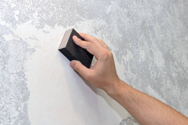 Mold Remediation for Rental Properties in Morrice, MI