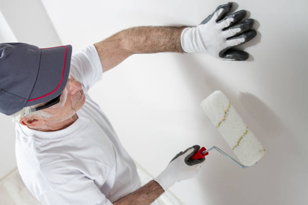 Best Attic Mold Removal  in Morrice, MI
