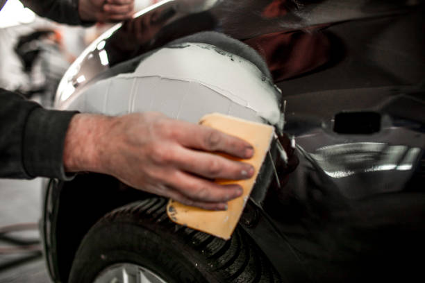 Best Emergency Mold Remediation  in Morrice, MI