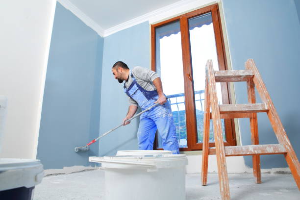 Best Mold Odor Removal Services  in Morrice, MI