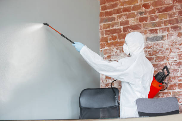 Forensic Mold Investigation in Morrice, MI