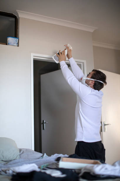Best Dehumidification Services  in Morrice, MI