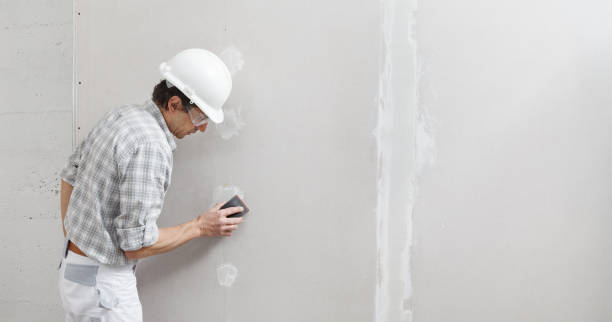 Asbestos and Lead Testing During Mold Inspection in Morrice, MI
