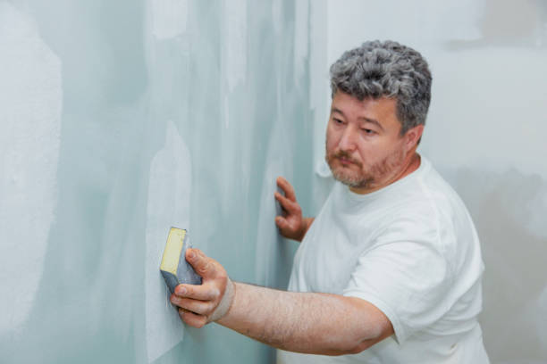 Best Crawl Space Mold Remediation  in Morrice, MI