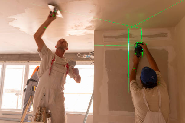Best Asbestos and Lead Testing During Mold Inspection  in Morrice, MI
