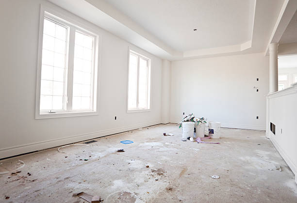 Morrice, MI Mold Removal Company