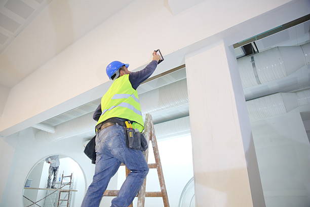 Best Mold Remediation for Rental Properties  in Morrice, MI