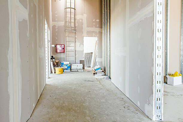 Best Water Damage & Mold Remediation  in Morrice, MI
