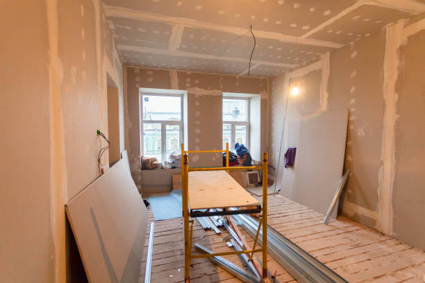 Best Mold Damage Restoration  in Morrice, MI