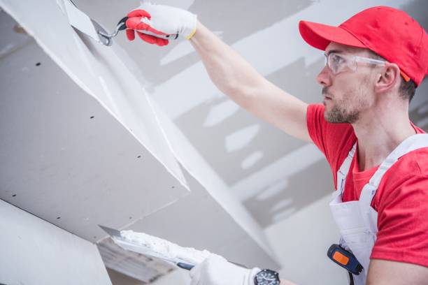 Best Real Estate Mold Inspection  in Morrice, MI