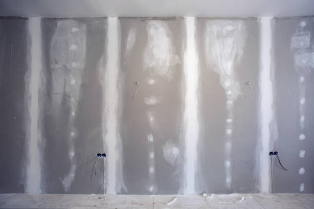Best Black Mold Removal  in Morrice, MI