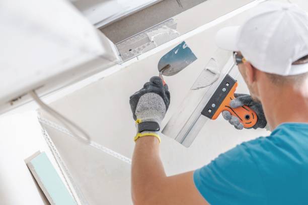 Best Mold Remediation for Healthcare Facilities  in Morrice, MI